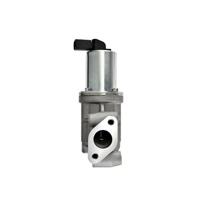 284102A120 Automobilski EGR ventil za HYUNDAI aplikacije ERA:555124