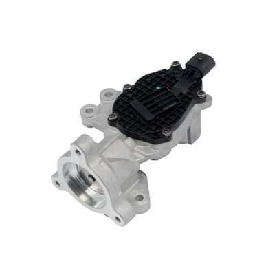 4202BZ002E3840034809A0 Aftermarket EGR ventil za turbo motore s promjenjivom geometrijom